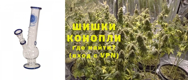 гашик Вяземский