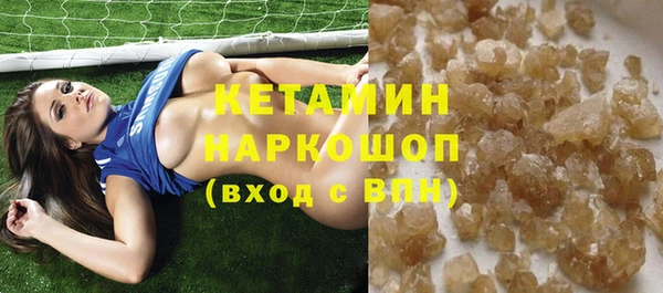 гашик Вяземский