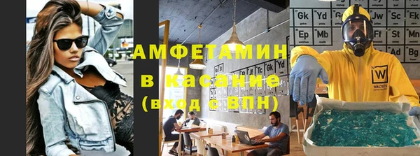 гашик Вяземский