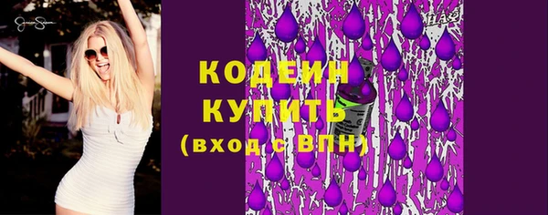 гашик Вяземский