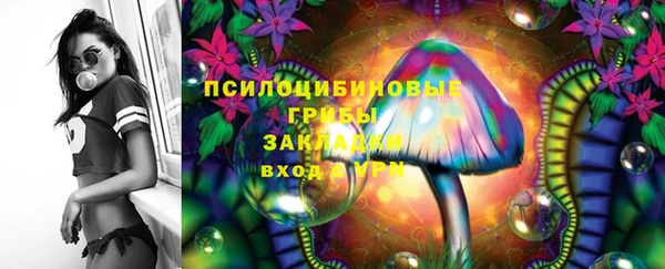 ешки Верхний Тагил