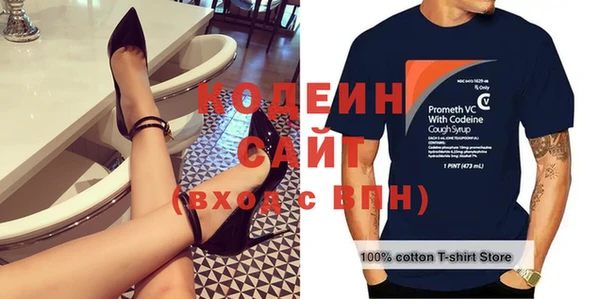 гашик Вяземский