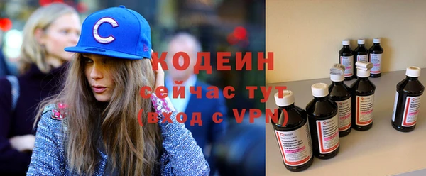 гашик Вяземский