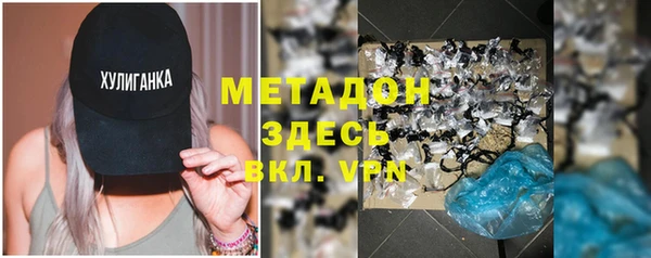 гашик Вяземский