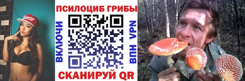 Галлюциногенные грибы Psilocybe  Гусиноозёрск 